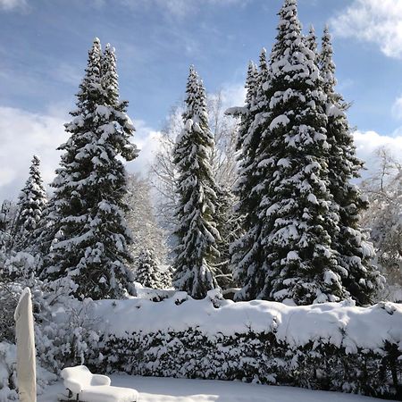 Traumhaftes Ferienhaus Direkt Am Tegernsee ร็อทท์อาค-เอเกิร์น ภายนอก รูปภาพ