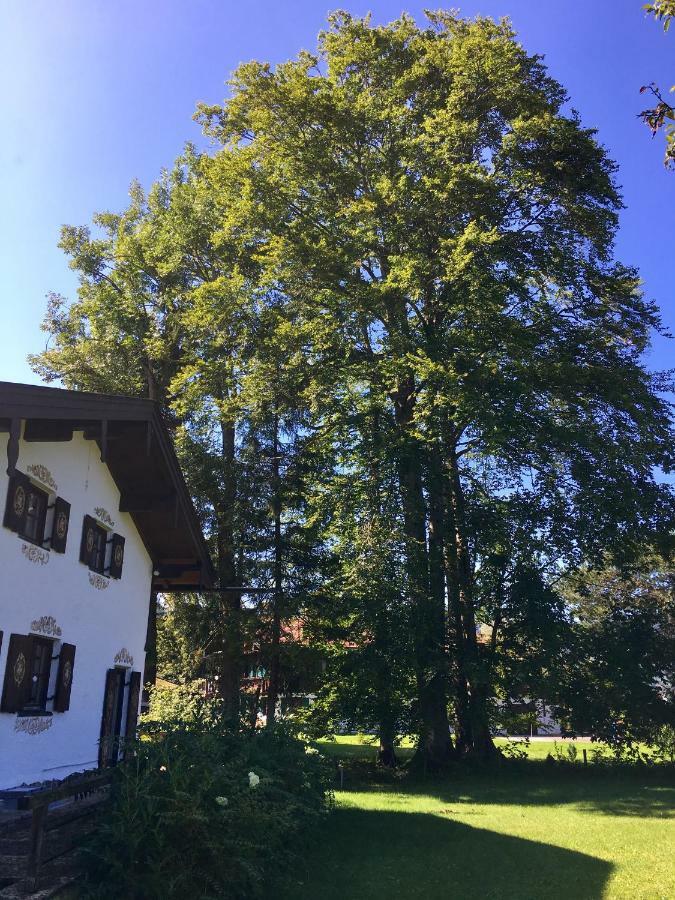 Traumhaftes Ferienhaus Direkt Am Tegernsee ร็อทท์อาค-เอเกิร์น ภายนอก รูปภาพ